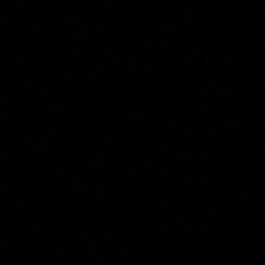 Meet your Posher, Zachery